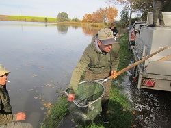 Lukas Koppensteiner mit Kescher